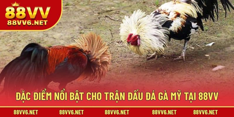 Đặc điểm nổi bật trong trải nghiệm theo dõi kiểu Mỹ