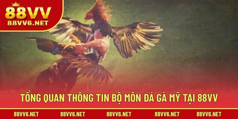 Giới thiệu thông tin tham gia đá gà Mỹ hấp dẫn