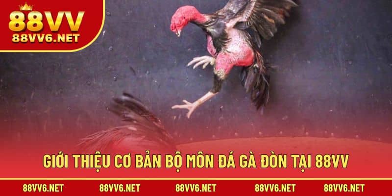 Giới thiệu cơ bản bộ môn thi đấu đá gà 