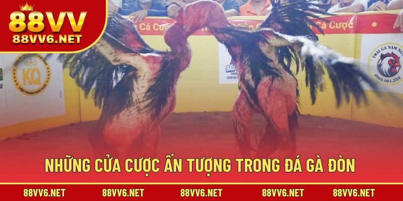 Những cửa đặt cược cho đá gà đòn hấp dẫn